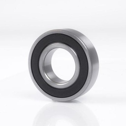 6306-2RS1 SKF